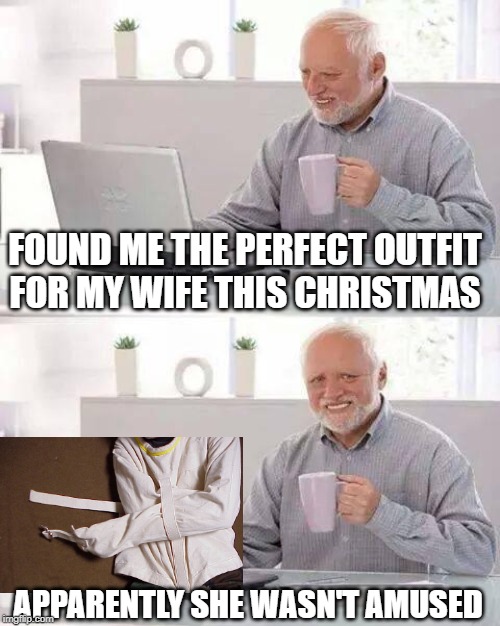 Tight Fit | FOUND ME THE PERFECT OUTFIT FOR MY WIFE THIS CHRISTMAS; APPARENTLY SHE WASN'T AMUSED | image tagged in memes,hide the pain harold | made w/ Imgflip meme maker