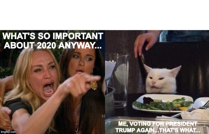Woman Yelling At Cat | WHAT'S SO IMPORTANT ABOUT 2020 ANYWAY... ME, VOTING FOR PRESIDENT TRUMP AGAIN...THAT'S WHAT... | image tagged in memes,woman yelling at cat | made w/ Imgflip meme maker