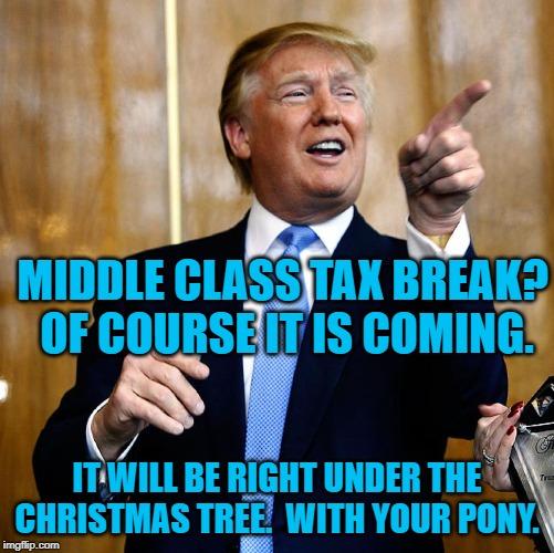 Donal Trump Birthday | MIDDLE CLASS TAX BREAK?  OF COURSE IT IS COMING. IT WILL BE RIGHT UNDER THE CHRISTMAS TREE.  WITH YOUR PONY. | image tagged in donal trump birthday | made w/ Imgflip meme maker