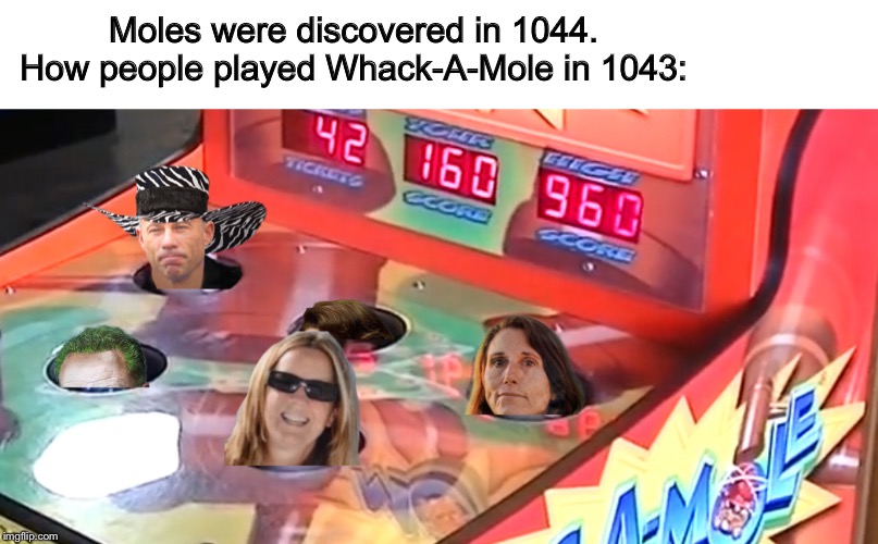 Awesomest image in the world | Moles were discovered in 1044.
How people played Whack-A-Mole in 1043: | image tagged in funny memes | made w/ Imgflip meme maker