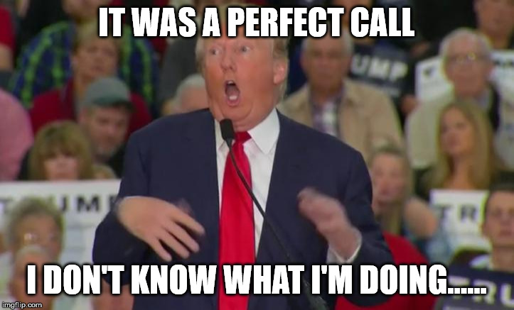 Donald Trump Mocking Disabled | IT WAS A PERFECT CALL; I DON'T KNOW WHAT I'M DOING...... | image tagged in donald trump mocking disabled | made w/ Imgflip meme maker