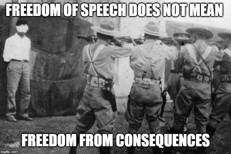 FREEDOM OF SPEECH DOES NOT MEAN; FREEDOM FROM CONSEQUENCES | made w/ Imgflip meme maker