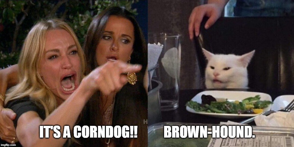 Woman yelling at cat | IT'S A CORNDOG!!          BROWN-HOUND. | image tagged in woman yelling at cat | made w/ Imgflip meme maker