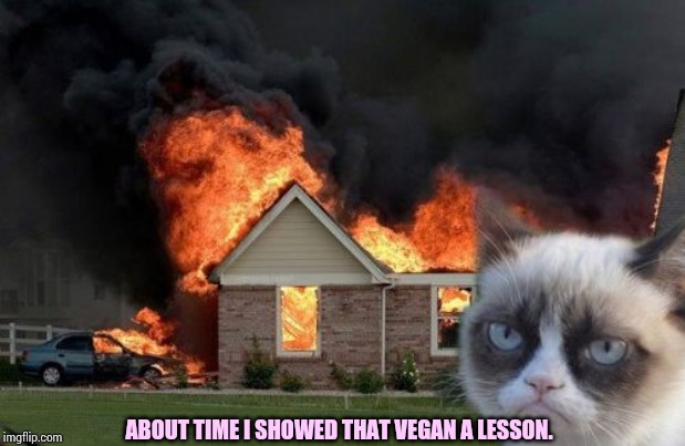 Burn Kitty Meme | ABOUT TIME I SHOWED THAT VEGAN A LESSON. | image tagged in memes,burn kitty,grumpy cat | made w/ Imgflip meme maker
