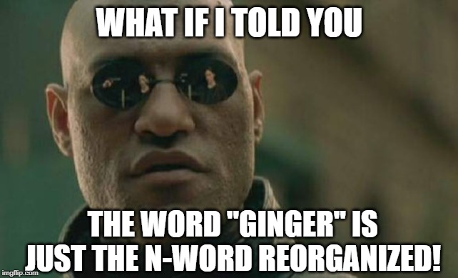 Anagram Alert! | WHAT IF I TOLD YOU; THE WORD "GINGER" IS JUST THE N-WORD REORGANIZED! | image tagged in memes,matrix morpheus | made w/ Imgflip meme maker