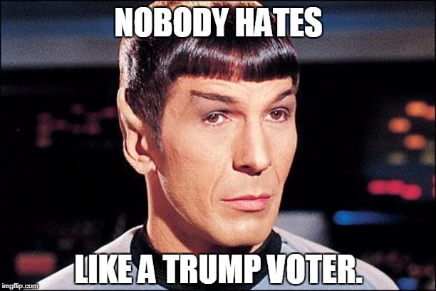 Condescending Spock | NOBODY HATES LIKE A TRUMP VOTER. | image tagged in condescending spock | made w/ Imgflip meme maker