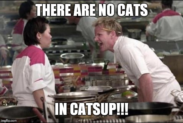 Where are the tomatoes?! | THERE ARE NO CATS; IN CATSUP!!! | image tagged in memes,angry chef gordon ramsay | made w/ Imgflip meme maker