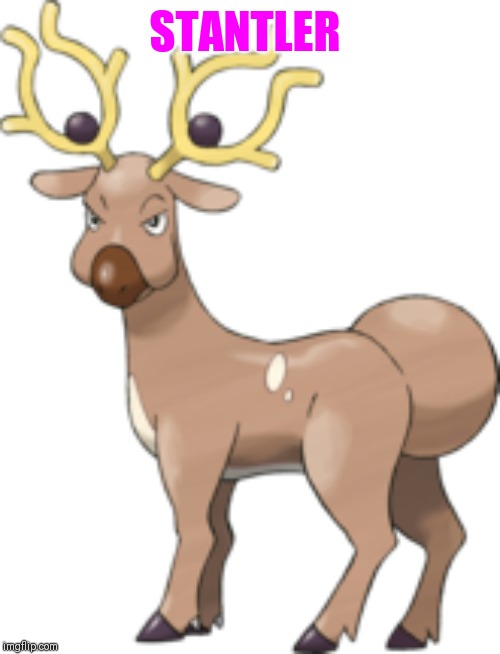 STANTLER | made w/ Imgflip meme maker