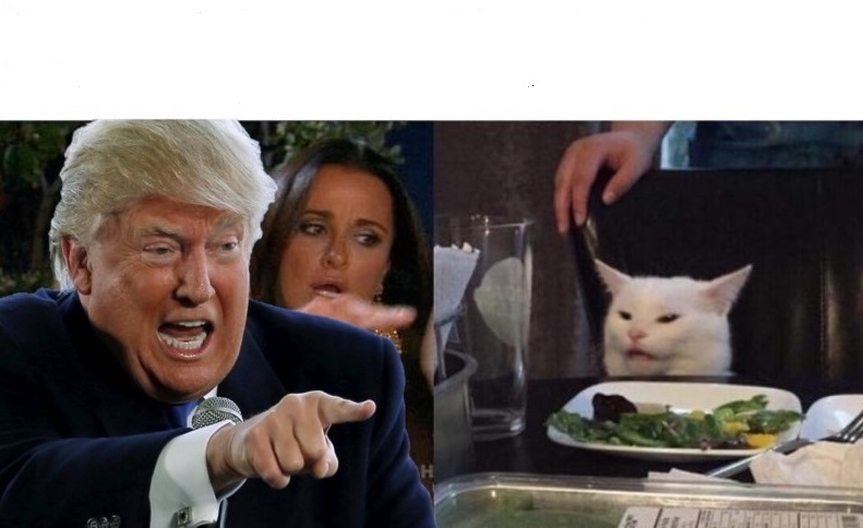 High Quality Trump Yelling At Cat Blank Meme Template