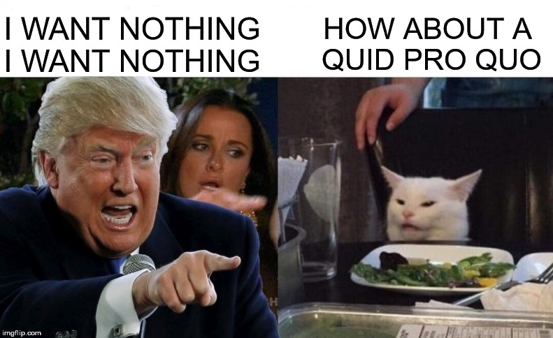 Trump Yelling At Cat | HOW ABOUT A 
QUID PRO QUO; I WANT NOTHING
I WANT NOTHING | image tagged in trump yelling at cat,memes,woman yelling at cat,squid | made w/ Imgflip meme maker