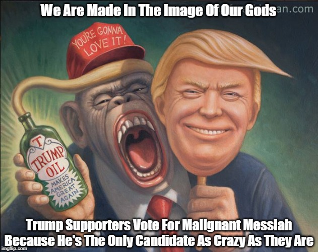 We Are Made In The Image Of Our Gods Trump Supporters Vote For Malignant Messiah
Because He's The Only Candidate As Crazy As They Are | made w/ Imgflip meme maker
