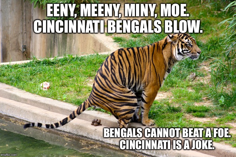 Bengals blow | EENY, MEENY, MINY, MOE.
CINCINNATI BENGALS BLOW. BENGALS CANNOT BEAT A FOE.
CINCINNATI IS A JOKE. | image tagged in tiger poop,memes,bengals,suck,nfl football,joke | made w/ Imgflip meme maker