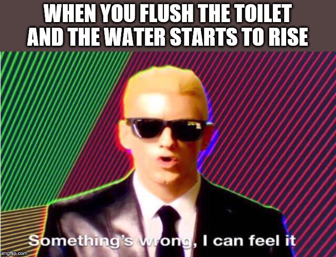 Something’s wrong |  WHEN YOU FLUSH THE TOILET AND THE WATER STARTS TO RISE | image tagged in somethings wrong | made w/ Imgflip meme maker