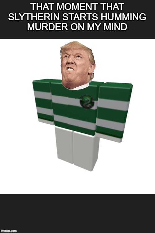 Image Tagged In Harry Potter Slytherin Roblox Donald Trump Imgflip