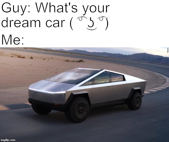 ok boomer tesla | Guy: What's your dream car ( ͡° ͜ʖ ͡°); Me: | image tagged in ok boomer tesla | made w/ Imgflip meme maker