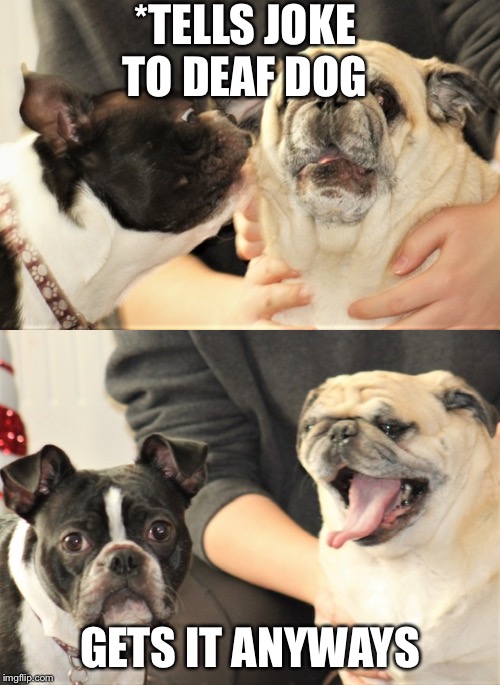 *TELLS JOKE TO DEAF DOG; GETS IT ANYWAYS | image tagged in fist pump baby | made w/ Imgflip meme maker