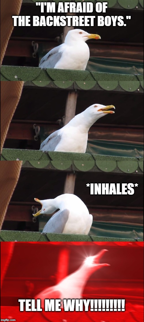 Inhaling Seagull | "I'M AFRAID OF THE BACKSTREET BOYS."; *INHALES*; TELL ME WHY!!!!!!!!! | image tagged in memes,inhaling seagull | made w/ Imgflip meme maker