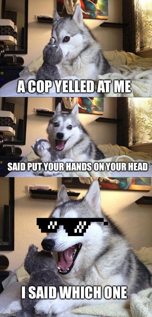 Bad Pun Dog | A COP YELLED AT ME; SAID PUT YOUR HANDS ON YOUR HEAD; I SAID WHICH ONE | image tagged in memes,bad pun dog | made w/ Imgflip meme maker