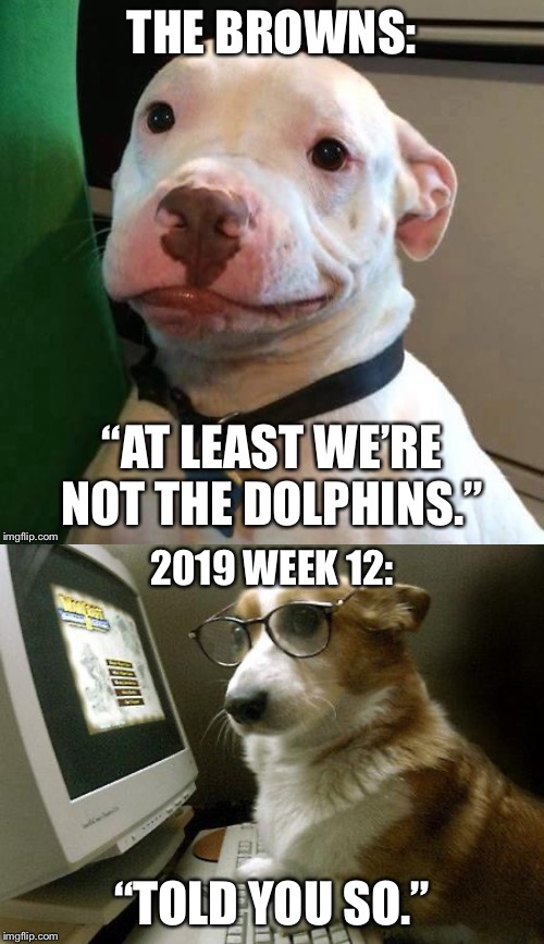 I called this one three months ago. Dolphins really suck. | 2019 WEEK 12:; “TOLD YOU SO.” | image tagged in smart dog,the browns at least were not the dolphins,memes,nfl football,miami,facts | made w/ Imgflip meme maker