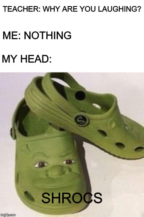 Some people just don't understand | TEACHER: WHY ARE YOU LAUGHING? ME: NOTHING; MY HEAD:; SHROCS | image tagged in memes,funny,shrek,crocs | made w/ Imgflip meme maker