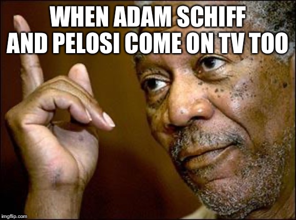 This Morgan Freeman | WHEN ADAM SCHIFF AND PELOSI COME ON TV TOO | image tagged in this morgan freeman | made w/ Imgflip meme maker