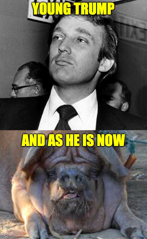 YOUNG TRUMP AND AS HE IS NOW | image tagged in trump young and cold | made w/ Imgflip meme maker