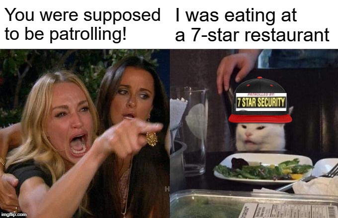 Woman Yelling At Cat Meme | You were supposed to be patrolling! I was eating at a 7-star restaurant | image tagged in memes,woman yelling at cat | made w/ Imgflip meme maker