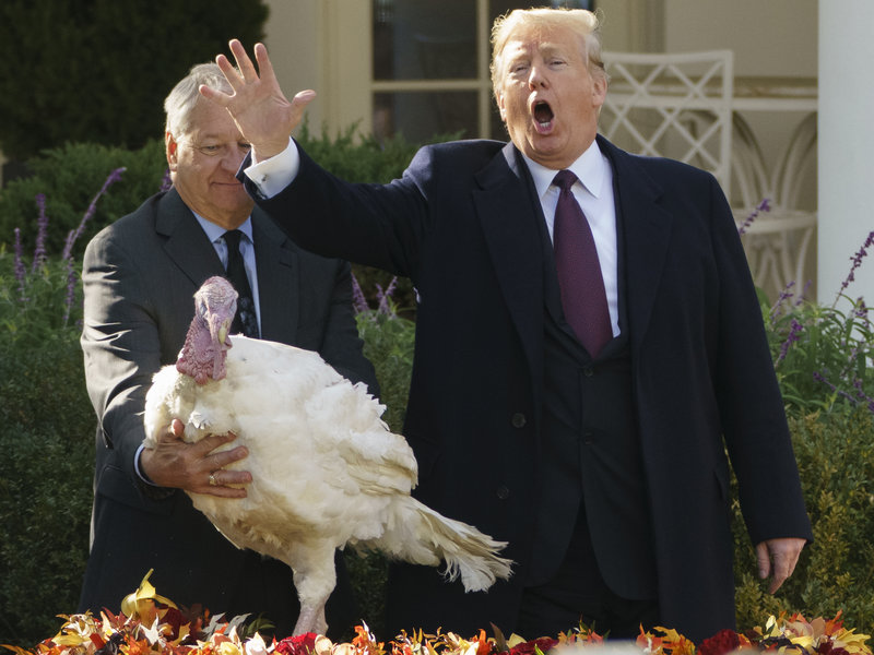 Trump pardons turkey Blank Meme Template