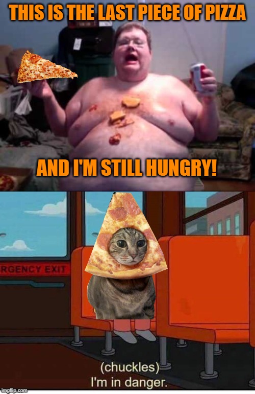 Pizza Cat | THIS IS THE LAST PIECE OF PIZZA; AND I'M STILL HUNGRY! | image tagged in funny memes,fat guy,pizza,pizza cat,cat,im in danger | made w/ Imgflip meme maker