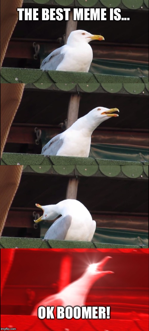 Inhaling Seagull Meme | THE BEST MEME IS... OK BOOMER! | image tagged in memes,inhaling seagull | made w/ Imgflip meme maker