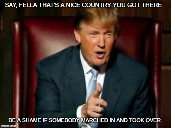 Donald Trump | SAY, FELLA THAT'S A NICE COUNTRY YOU GOT THERE; BE A SHAME IF SOMEBODY MARCHED IN AND TOOK OVER | image tagged in donald trump,foreign policy | made w/ Imgflip meme maker