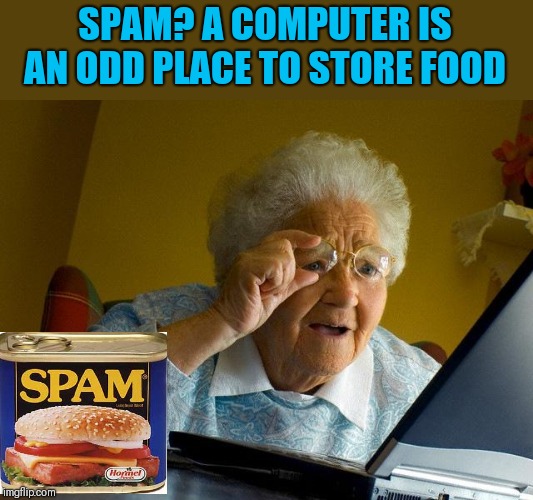 Grandma Finds The Internet With Spam | SPAM? A COMPUTER IS AN ODD PLACE TO STORE FOOD | image tagged in memes,grandma finds the internet,spam,food,44colt,spammers | made w/ Imgflip meme maker