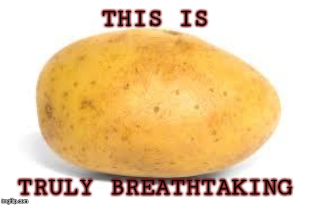 Potato | THIS IS; TRULY BREATHTAKING | image tagged in potato | made w/ Imgflip meme maker
