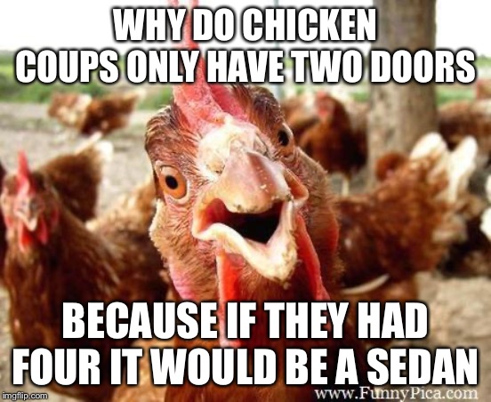 Chicken | WHY DO CHICKEN COUPS ONLY HAVE TWO DOORS; BECAUSE IF THEY HAD FOUR IT WOULD BE A SEDAN | image tagged in chicken | made w/ Imgflip meme maker