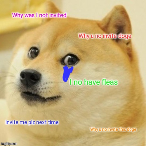 Doge Meme | Why was I not invited Why u no invite doge I no have fleas Invite me plz next time Why u no invite this doge | image tagged in memes,doge | made w/ Imgflip meme maker