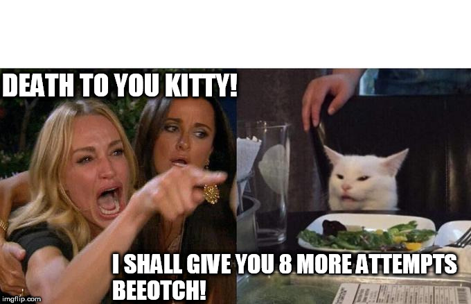 Woman Yelling At Cat Meme | DEATH TO YOU KITTY! I SHALL GIVE YOU 8 MORE ATTEMPTS



BEEOTCH! | image tagged in memes,woman yelling at cat | made w/ Imgflip meme maker