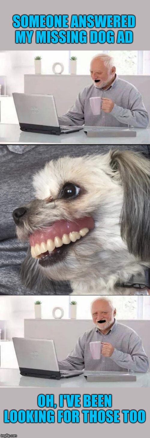 Dog Missing Teeth Meme : Poodle Shows His Teeth On Command ...