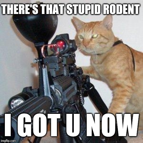 Thats my cat when she sees a mouse | THERE'S THAT STUPID RODENT; I GOT U NOW | image tagged in cat with gun,funny memes,memes,savage memes,cats,funny | made w/ Imgflip meme maker