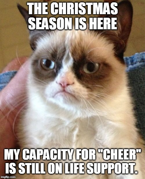 Grumpy Cat Meme | THE CHRISTMAS SEASON IS HERE; MY CAPACITY FOR "CHEER" IS STILL ON LIFE SUPPORT. | image tagged in memes,grumpy cat | made w/ Imgflip meme maker