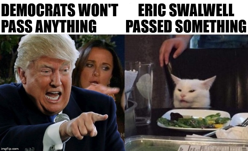 Trump Yelling At Cat | ERIC SWALWELL PASSED SOMETHING; DEMOCRATS WON'T PASS ANYTHING | image tagged in trump yelling at cat,memes,fart,msnbc,woman yelling at cat,you shall not pass | made w/ Imgflip meme maker