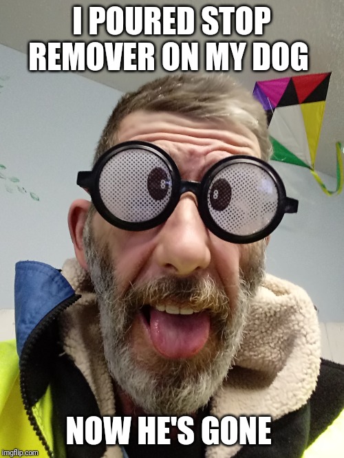 Funny quote Bert | I POURED STOP REMOVER ON MY DOG; NOW HE'S GONE | image tagged in funny quote bert | made w/ Imgflip meme maker