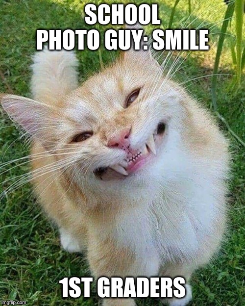 SCHOOL PHOTO GUY: SMILE; 1ST GRADERS | image tagged in funny cats | made w/ Imgflip meme maker