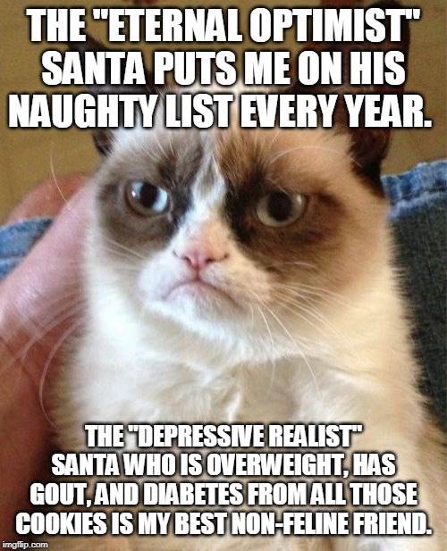 Grumpy Cat | THE "ETERNAL OPTIMIST" SANTA PUTS ME ON HIS NAUGHTY LIST EVERY YEAR. THE "DEPRESSIVE REALIST" SANTA WHO IS OVERWEIGHT, HAS GOUT, AND DIABETES FROM ALL THOSE COOKIES IS MY BEST NON-FELINE FRIEND. | image tagged in memes,grumpy cat | made w/ Imgflip meme maker