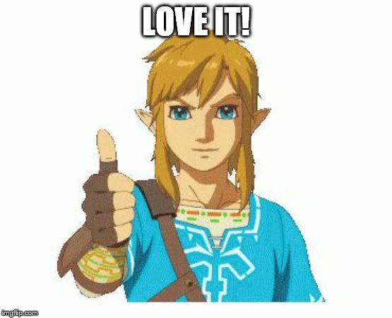 Link Thumbs Up | LOVE IT! | image tagged in link thumbs up | made w/ Imgflip meme maker