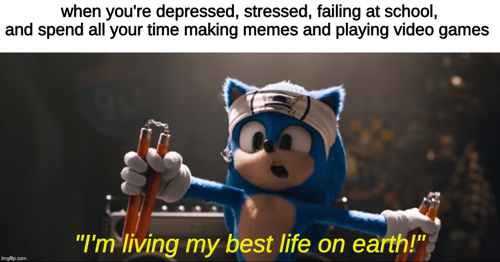 Make sonic movie memes while they are still relevant | when you're depressed, stressed, failing at school, and spend all your time making memes and playing video games; "I'm living my best life on earth!" | image tagged in memes,sonic movie,school,depression | made w/ Imgflip meme maker