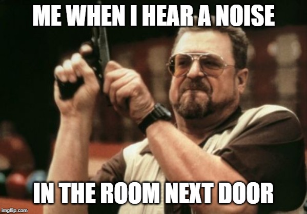 Am I The Only One Around Here | ME WHEN I HEAR A NOISE; IN THE ROOM NEXT DOOR | image tagged in memes,am i the only one around here | made w/ Imgflip meme maker