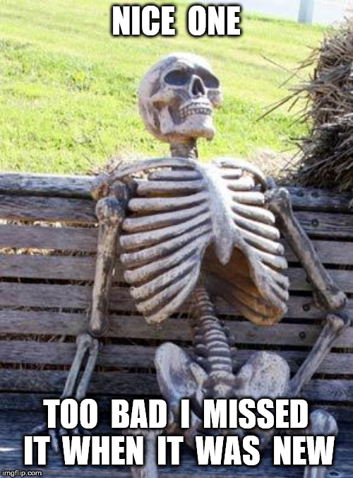 Waiting Skeleton Meme | NICE  ONE TOO  BAD  I  MISSED  IT  WHEN  IT  WAS  NEW | image tagged in memes,waiting skeleton | made w/ Imgflip meme maker