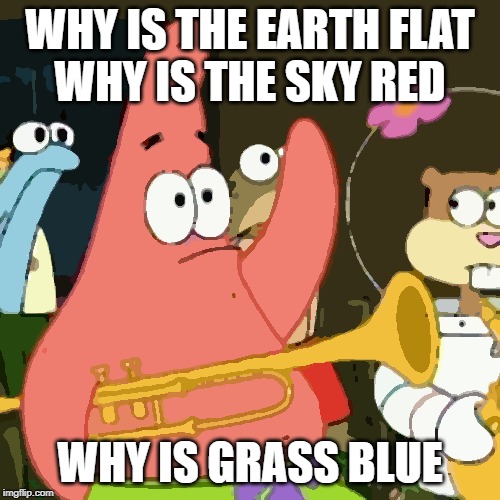 No Patrick | WHY IS THE EARTH FLAT
WHY IS THE SKY RED; WHY IS GRASS BLUE | image tagged in memes,no patrick | made w/ Imgflip meme maker