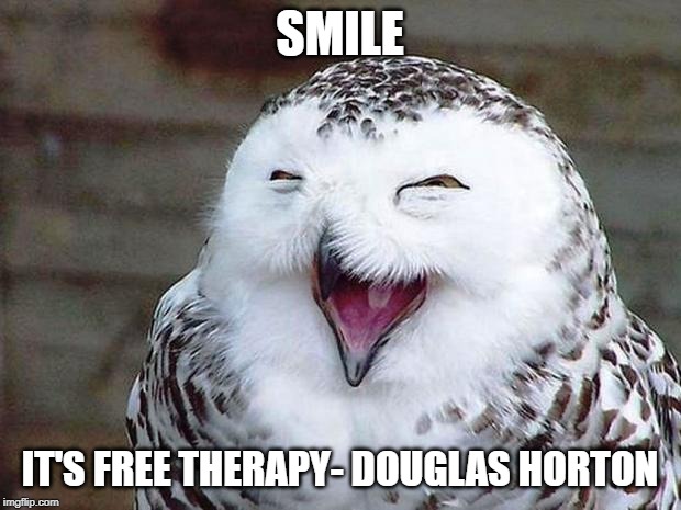 owl happy | SMILE; IT'S FREE THERAPY- DOUGLAS HORTON | image tagged in owl happy | made w/ Imgflip meme maker