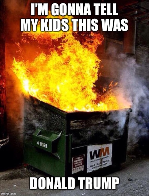 Dumpster Fire | I’M GONNA TELL MY KIDS THIS WAS; DONALD TRUMP | image tagged in dumpster fire | made w/ Imgflip meme maker